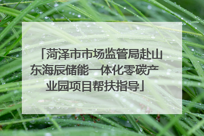 菏泽市市场监管局赴山东海辰储能一体化零碳产业园项目帮扶指导