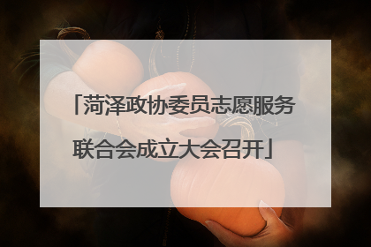 菏泽政协委员志愿服务联合会成立大会召开