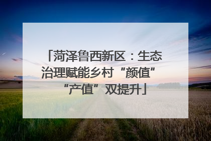 菏泽鲁西新区：生态治理赋能乡村“颜值”“产值”双提升