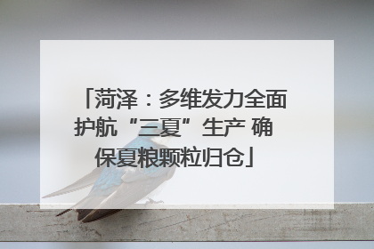菏泽：多维发力全面护航“三夏”生产 确保夏粮颗粒归仓