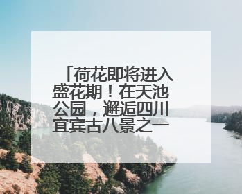 荷花即将进入盛花期！在天池公园，邂逅四川宜宾古八景之一“天池晚照”