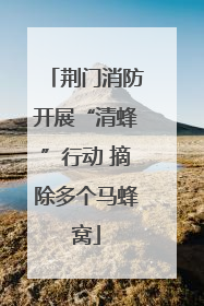 荆门消防开展“清蜂”行动 摘除多个马蜂窝