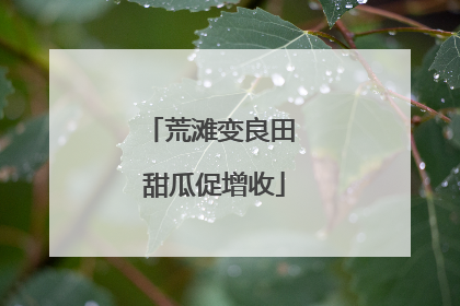 荒滩变良田 甜瓜促增收