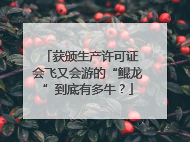 获颁生产许可证 会飞又会游的“鲲龙”到底有多牛？