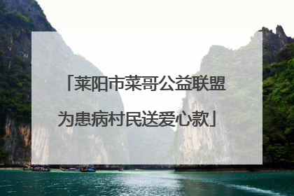 莱阳市菜哥公益联盟为患病村民送爱心款