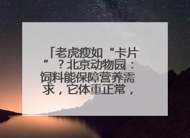 老虎瘦如“卡片”？北京动物园：饲料能保障营养需求，它体重正常，放心吧