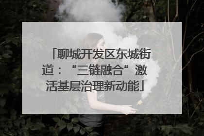 聊城开发区东城街道：“三链融合”激活基层治理新动能