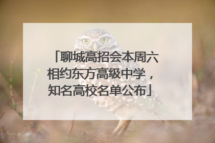 聊城高招会本周六相约东方高级中学，知名高校名单公布