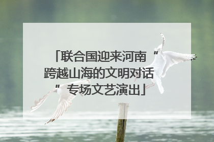 联合国迎来河南“跨越山海的文明对话”专场文艺演出