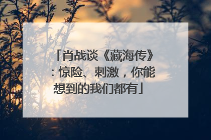 肖战谈《藏海传》：惊险、刺激，你能想到的我们都有