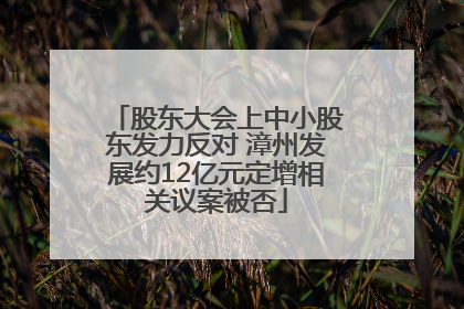 股东大会上中小股东发力反对 漳州发展约12亿元定增相关议案被否