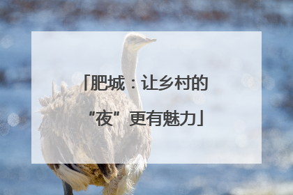 肥城：让乡村的“夜”更有魅力
