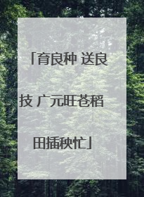育良种 送良技 广元旺苍稻田插秧忙