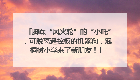 脚踩“风火轮”的“小吒”，可脱离遥控板的机器狗，泡桐树小学来了新朋友！