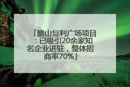 腊山复利广场项目：已吸引20余家知名企业进驻，整体招商率70%