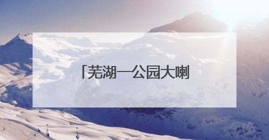 芜湖一公园大喇叭辱骂遛狗市民？真相来了……