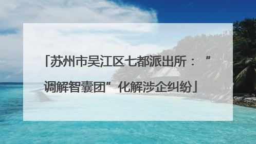 苏州市吴江区七都派出所：“调解智囊团”化解涉企纠纷