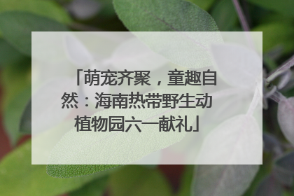 萌宠齐聚，童趣自然：海南热带野生动植物园六一献礼
