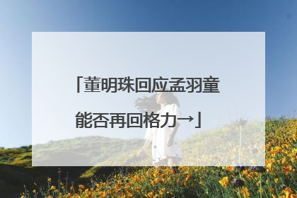 董明珠回应孟羽童能否再回格力→