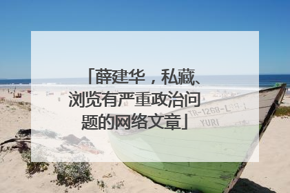 薛建华，私藏、浏览有严重政治问题的网络文章