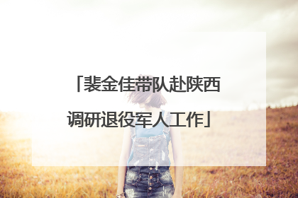 裴金佳带队赴陕西调研退役军人工作