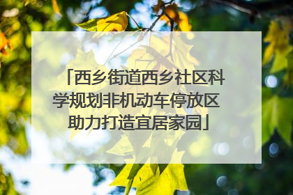 西乡街道西乡社区科学规划非机动车停放区 助力打造宜居家园