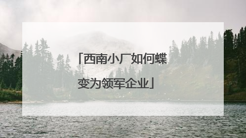 西南小厂如何蝶变为领军企业