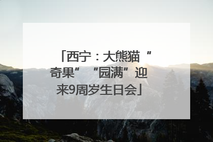 西宁：大熊猫“奇果”“园满”迎来9周岁生日会