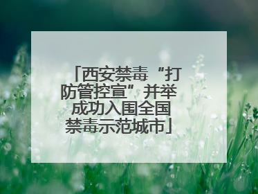 西安禁毒“打防管控宣”并举 成功入围全国禁毒示范城市