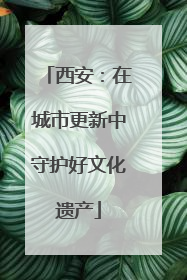西安：在城市更新中守护好文化遗产