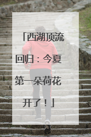 西湖顶流回归：今夏第一朵荷花开了！