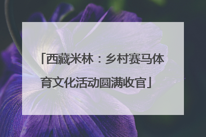 西藏米林：乡村赛马体育文化活动圆满收官