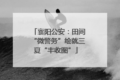 襄阳公安：田间“微警务”绘就三夏“丰收图”
