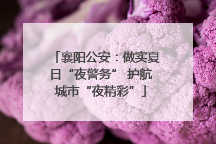 襄阳公安：做实夏日“夜警务” 护航城市“夜精彩”