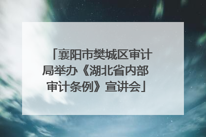 襄阳市樊城区审计局举办《湖北省内部审计条例》宣讲会