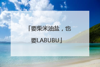 要柴米油盐，也要LABUBU