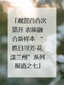 观赏百合次第开 农旅融合新样本 “胜日寻芳·花漾兰州”系列报道之七