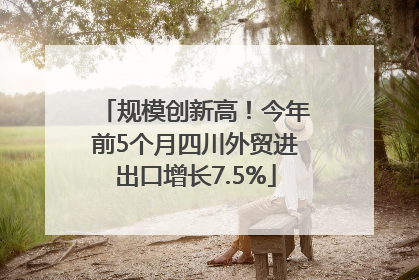 规模创新高！今年前5个月四川外贸进出口增长7.5%