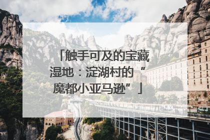 触手可及的宝藏湿地：淀湖村的“魔都小亚马逊”