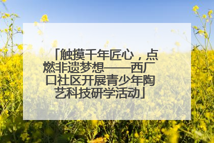 触摸千年匠心，点燃非遗梦想——西厂口社区开展青少年陶艺科技研学活动