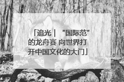 追光｜“国际范”的龙舟赛 向世界打开中国文化的大门
