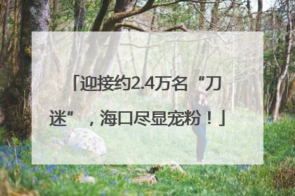 迎接约2.4万名“刀迷”，海口尽显宠粉！