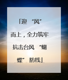 迎 “风” 而上，全力筑牢抗击台风 “蝴蝶” 防线