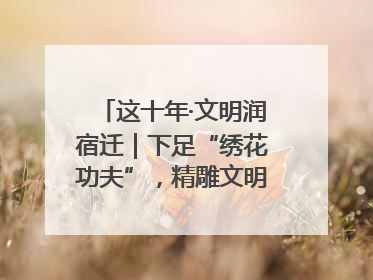 这十年·文明润宿迁｜下足“绣花功夫”，精雕文明城市品质