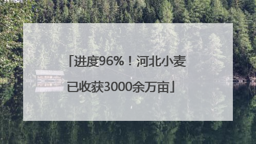 进度96%！河北小麦已收获3000余万亩