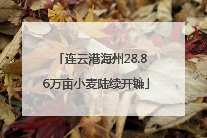连云港海州28.86万亩小麦陆续开镰