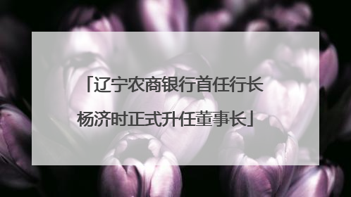 辽宁农商银行首任行长杨济时正式升任董事长
