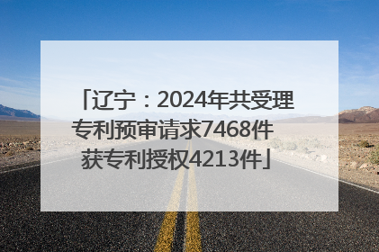 辽宁：2024年共受理专利预审请求7468件 获专利授权4213件
