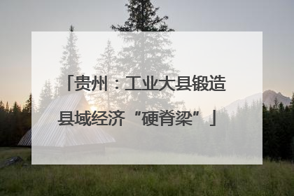 贵州：工业大县锻造县域经济“硬脊梁”