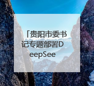 贵阳市委书记专题部署DeepSeek应用